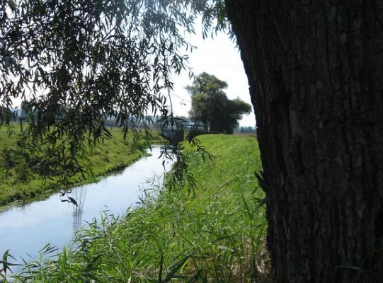 Wyniki konkursu fotograficznego „WODA, ŚRODOWISKO, ŻYCIE”