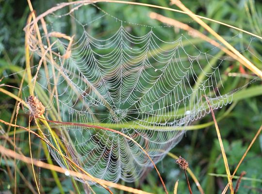 Wyniki konkursu fotograficznego „WODA, ŚRODOWISKO, ŻYCIE”