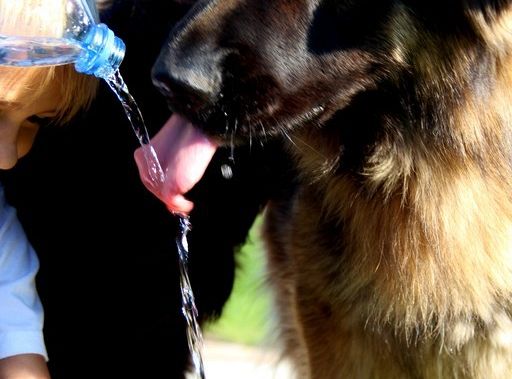 Wyniki konkursu fotograficznego „WODA, ŚRODOWISKO, ŻYCIE”