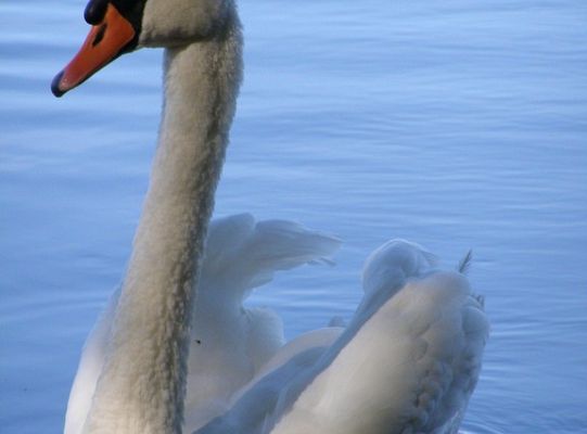 Wyniki konkursu fotograficznego „WODA, ŚRODOWISKO, ŻYCIE”