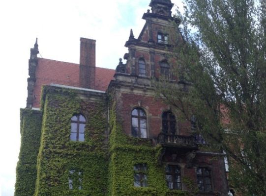 Wyniki konkursu fotograficznego „WODA, ŚRODOWISKO, ŻYCIE”