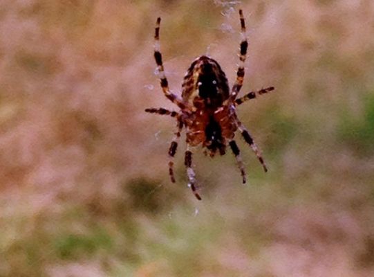 Wyniki konkursu fotograficznego „WODA, ŚRODOWISKO, ŻYCIE”