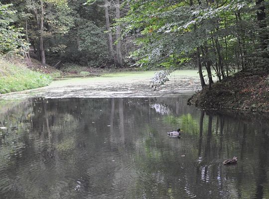 Wyniki konkursu fotograficznego „WODA, ŚRODOWISKO, ŻYCIE”