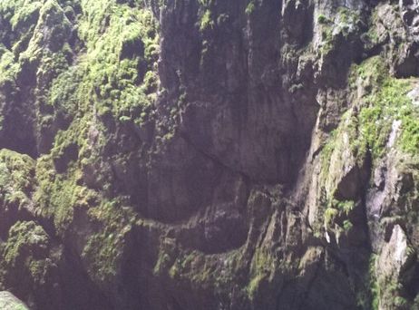 Wyniki konkursu fotograficznego „WODA, ŚRODOWISKO, ŻYCIE”