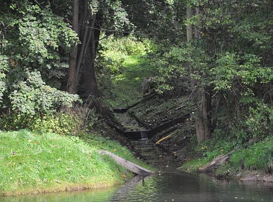 Wyniki konkursu fotograficznego „WODA, ŚRODOWISKO, ŻYCIE”