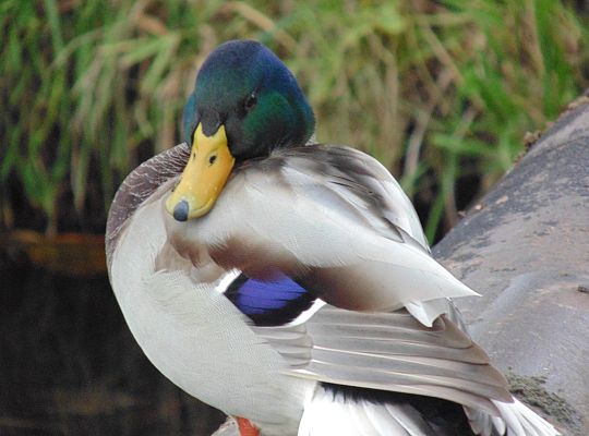 Wyniki konkursu fotograficznego „WODA, ŚRODOWISKO, ŻYCIE”