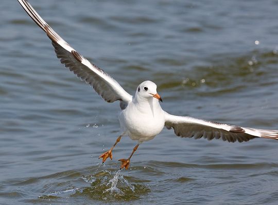Wyniki konkursu fotograficznego „WODA, ŚRODOWISKO, ŻYCIE”