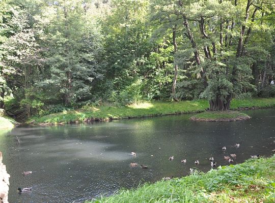Wyniki konkursu fotograficznego „WODA, ŚRODOWISKO, ŻYCIE”