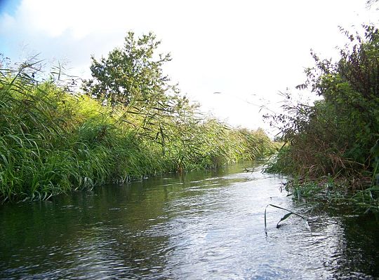 Wyniki konkursu fotograficznego „WODA, ŚRODOWISKO, ŻYCIE”