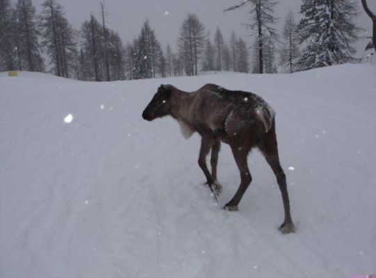 Wyniki konkursu fotograficznego „WODA, ŚRODOWISKO, ŻYCIE”