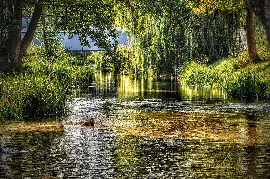 Wyniki konkursu fotograficznego „WODA, ŚRODOWISKO, ŻYCIE”